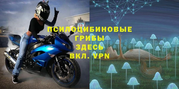мет Алексин