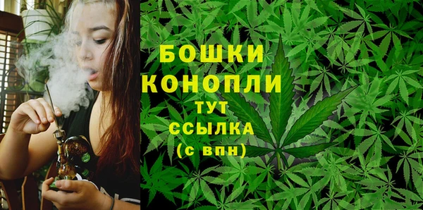 гидра Снежногорск