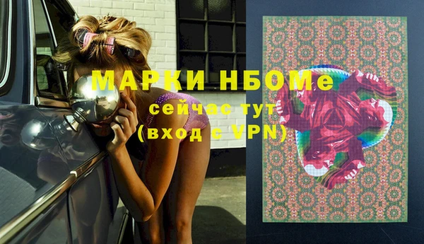 мет Алексин