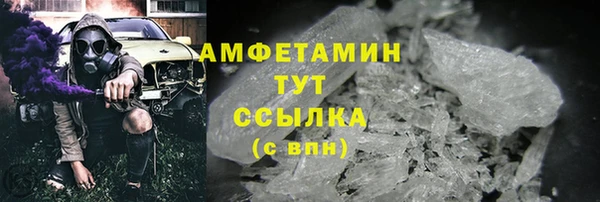 мет Алексин