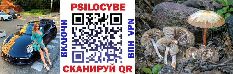 купить наркотик  Ардатов  Псилоцибиновые грибы Magic Shrooms 