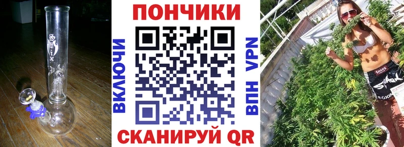 Шишки марихуана индика  маркетплейс наркотические препараты  Ардатов  наркошоп 